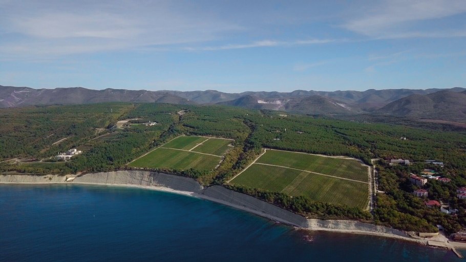 Светские слабости Патриарха Кирилла