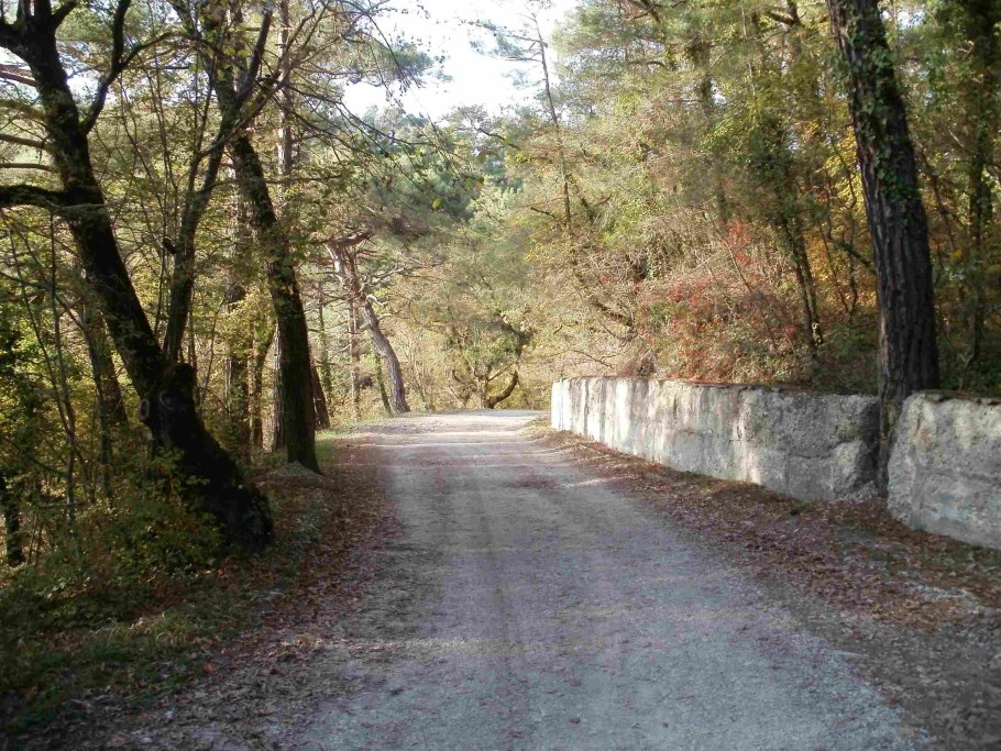 Геленджик Дивноморское морской клуб