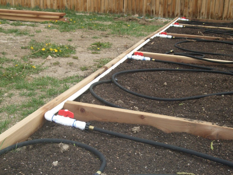 Капельный полив на даче