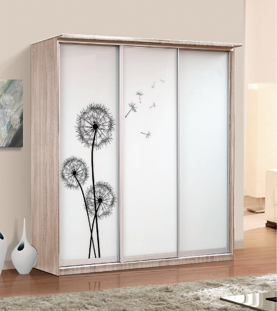 Шкаф купе Раевская фабрика