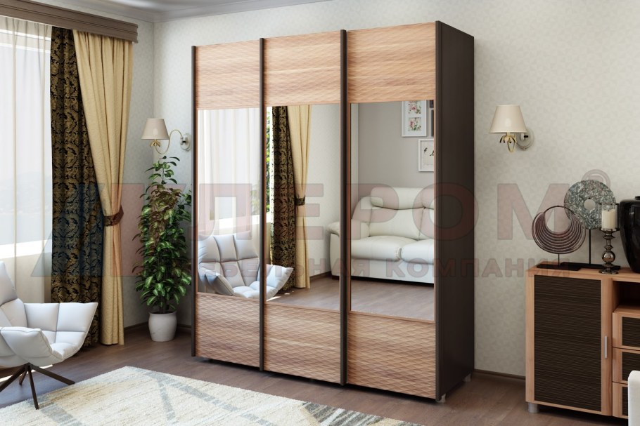 Шкаф-купе Лидер 2