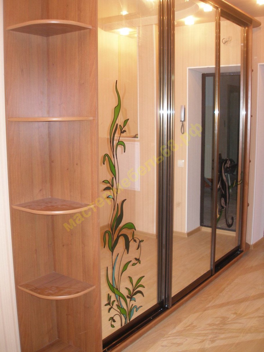 Шкаф-купе маэстро 1700х2200х610 венге лоредо