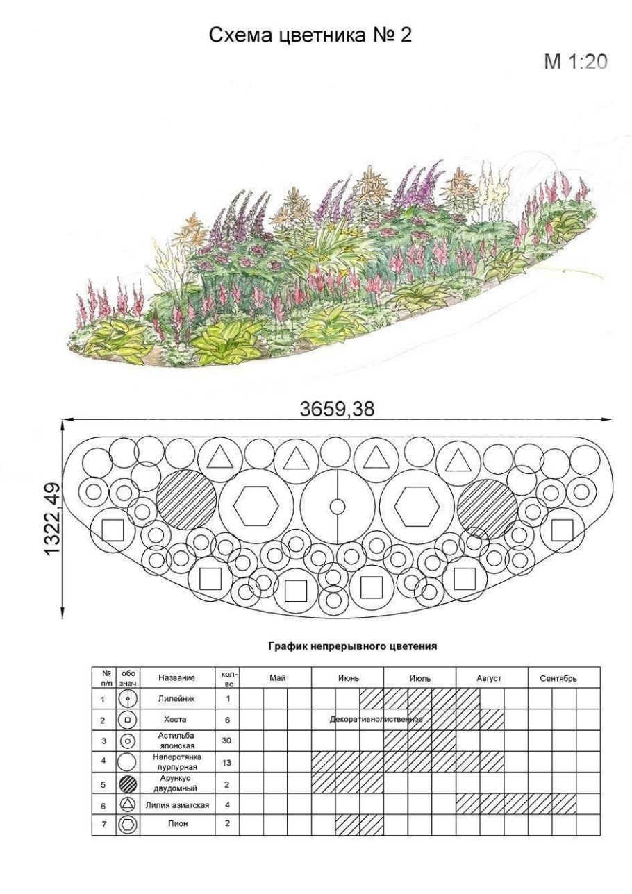 Грядки вид сверху