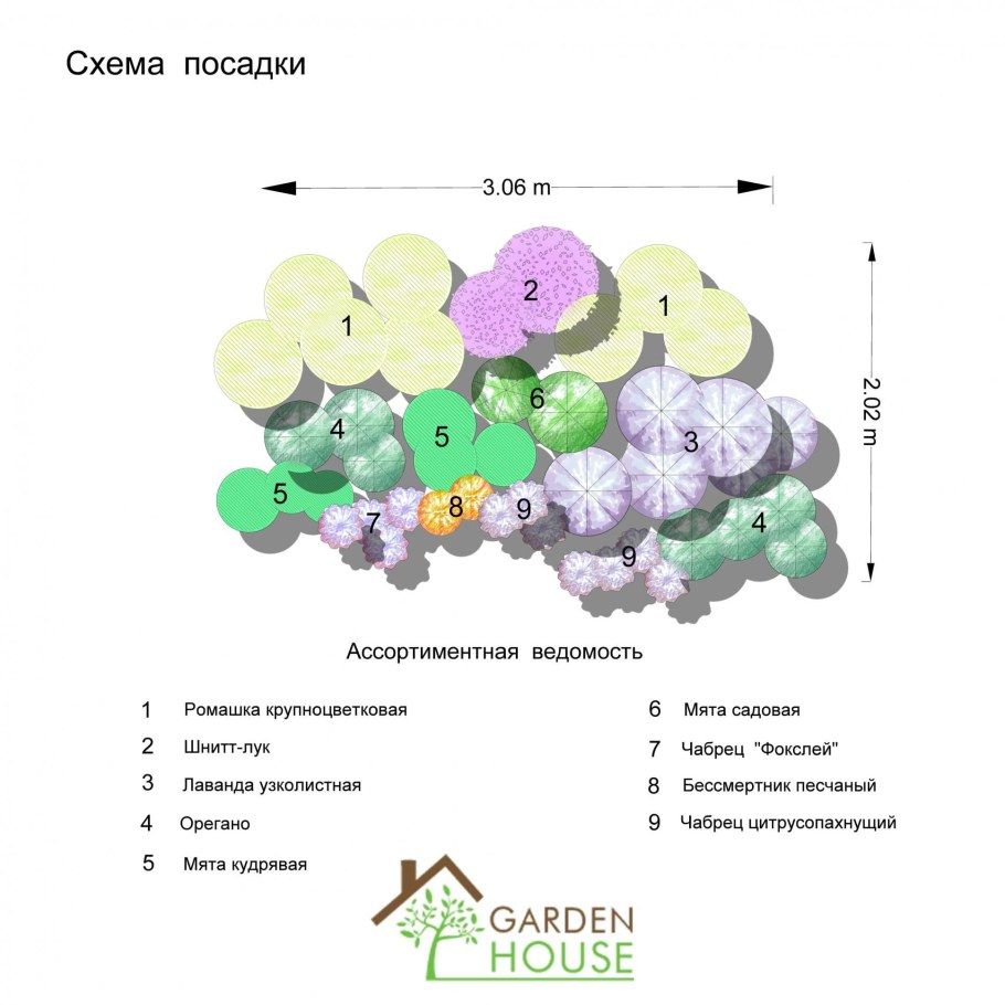 Пряные травы схема посадки