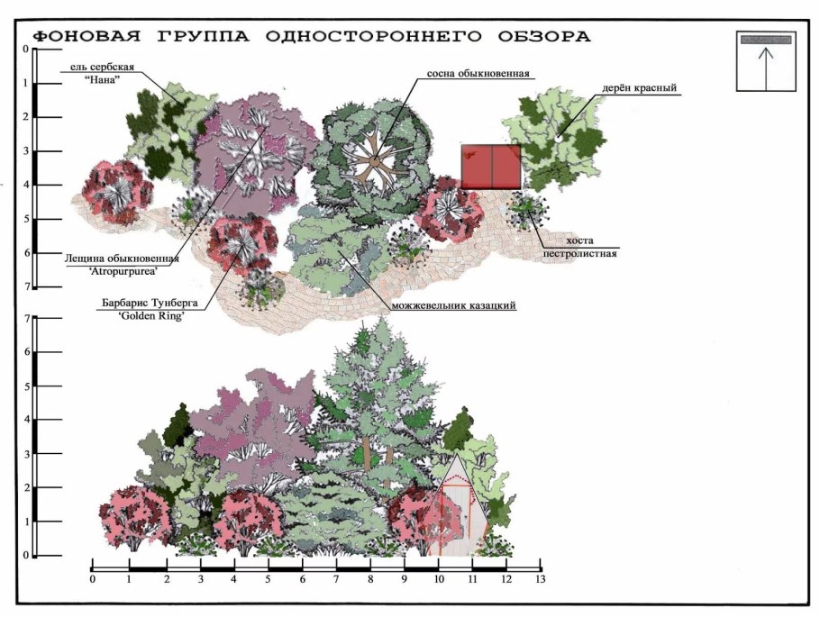 Аптечная грядка на даче схема