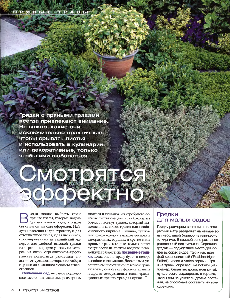 Сад пряных трав схема