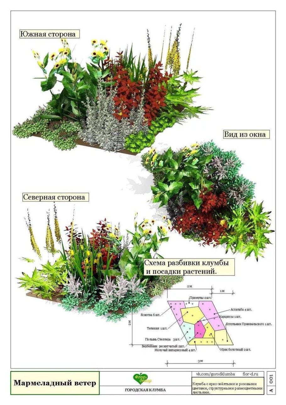 Схема миксбордера непрерывного цветения схема