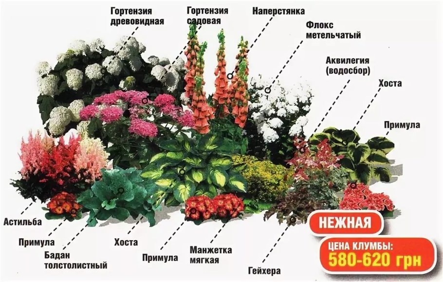 Схема рабатки непрерывного цветения