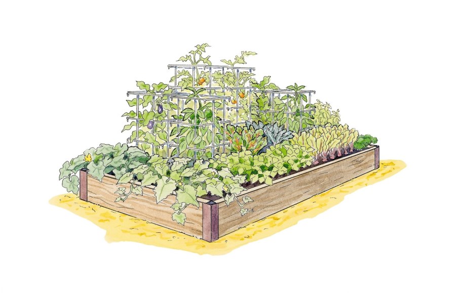 Схема грядок в теплице 3х6 в три ряда