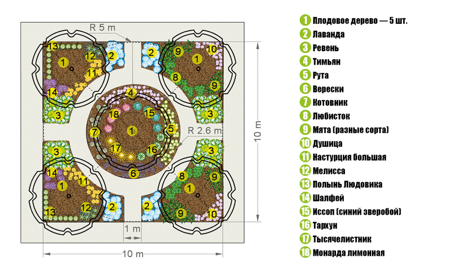 Клумба пряные травы схема