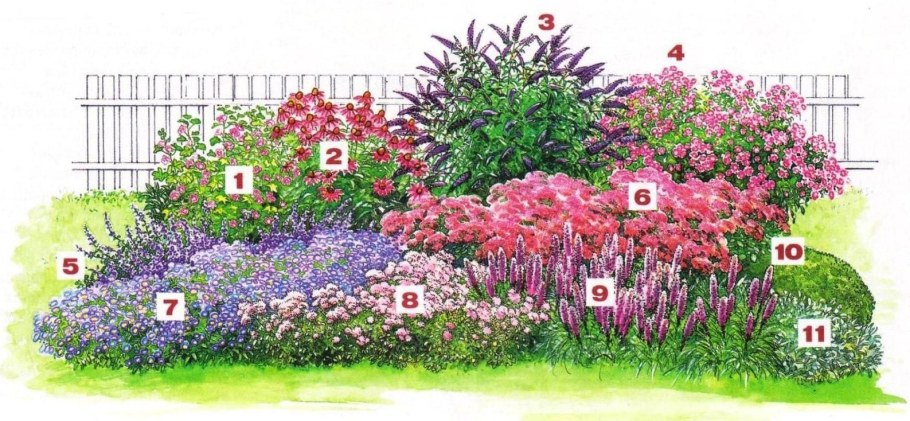 Схема миксбордера непрерывного цветения