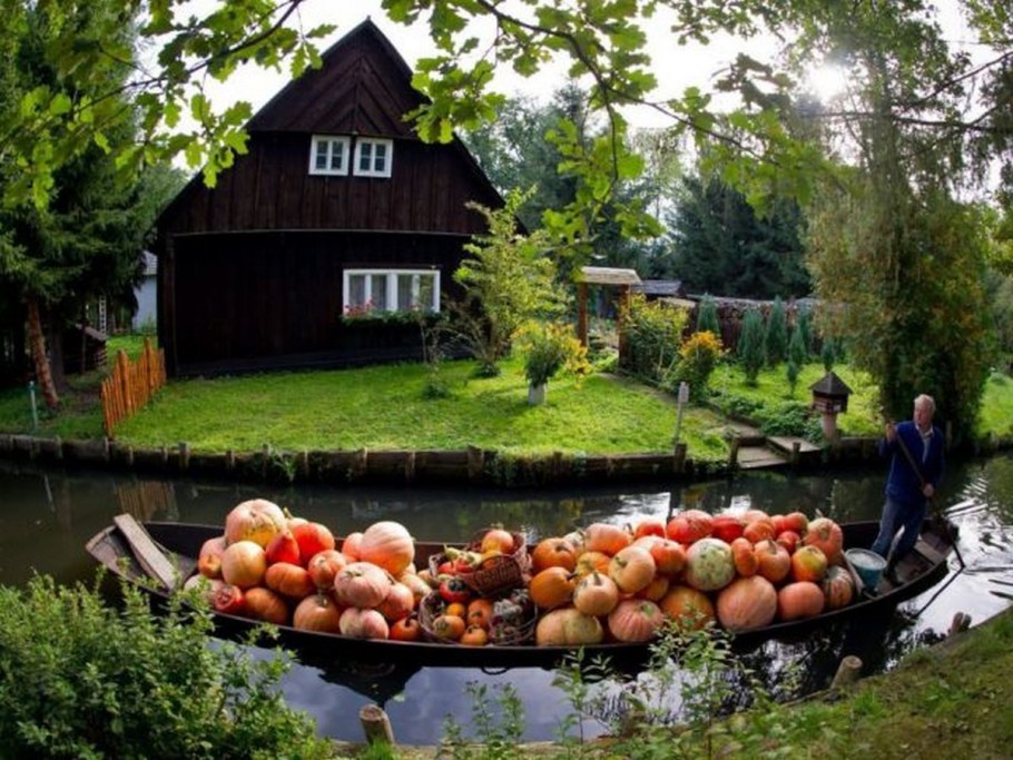 Красивая дача