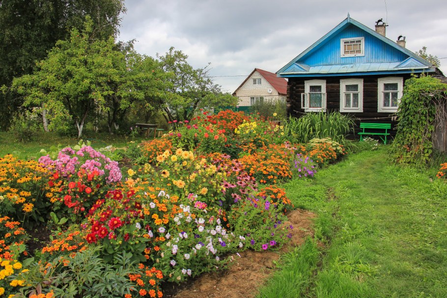 Лаврики Ленинградская область