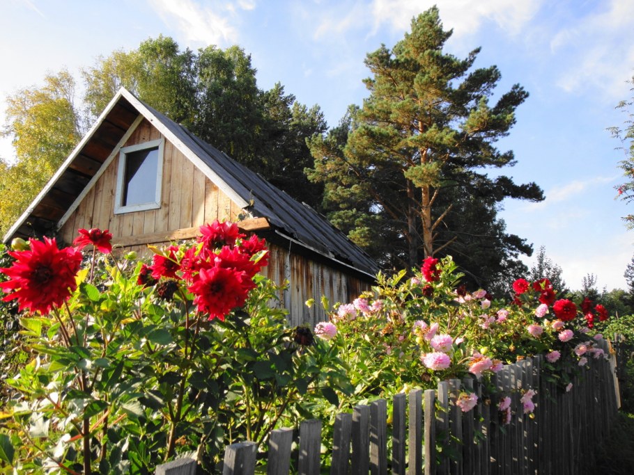 Домик в саду