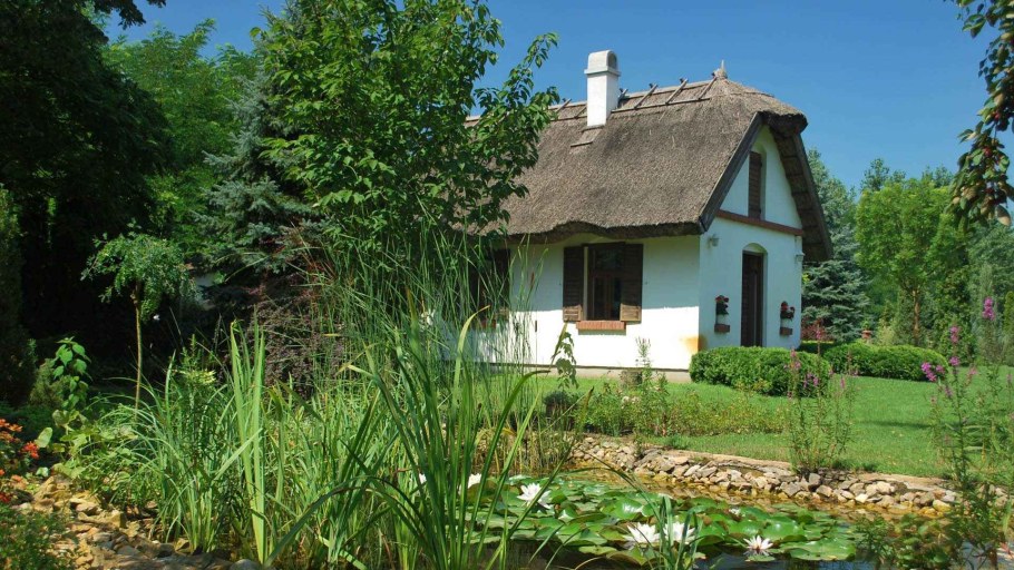 Белый дом с палисадником в деревне