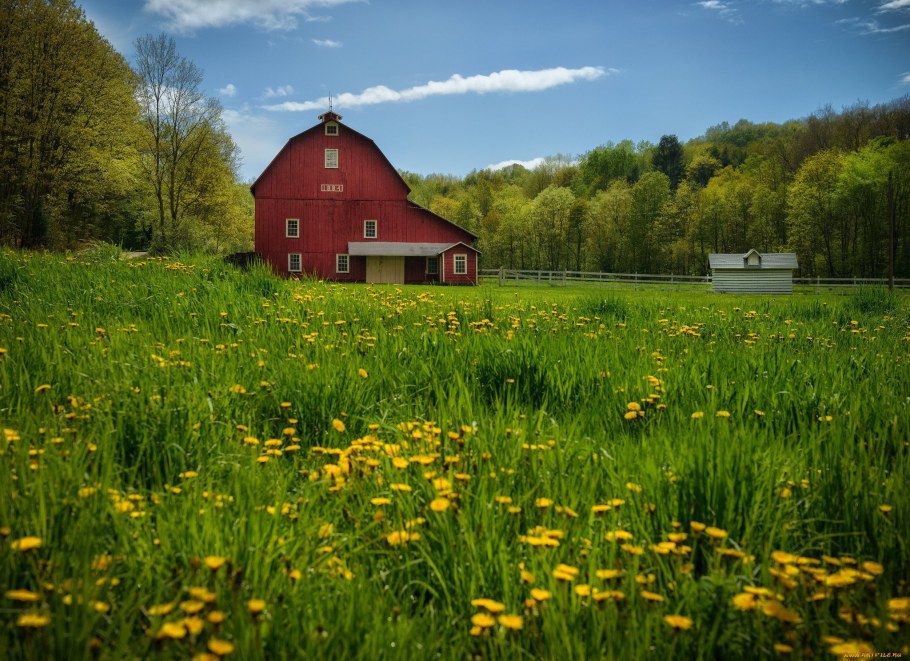Недорогая дача