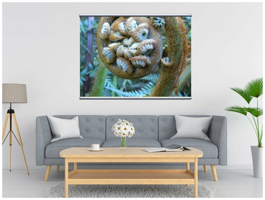 Папоротник поталью