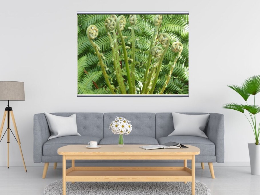 Постер листья