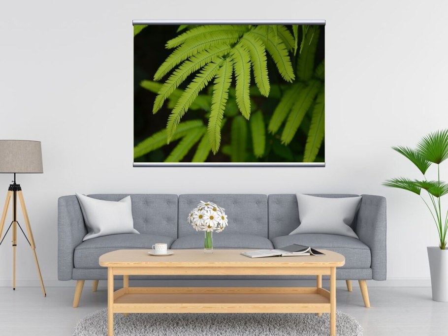 Botanical Prints папоротник