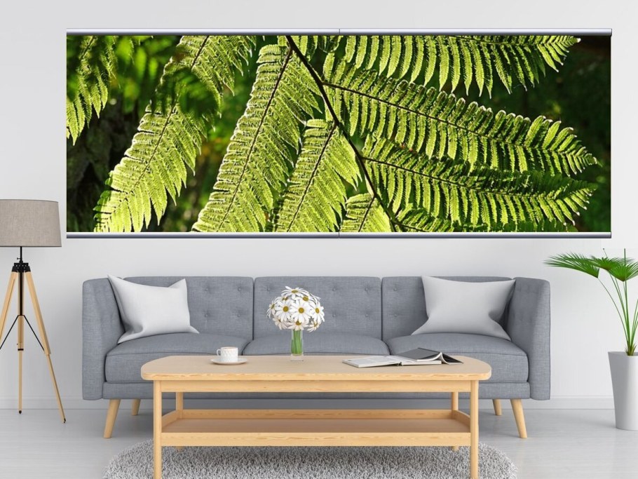 Папоротник живопись