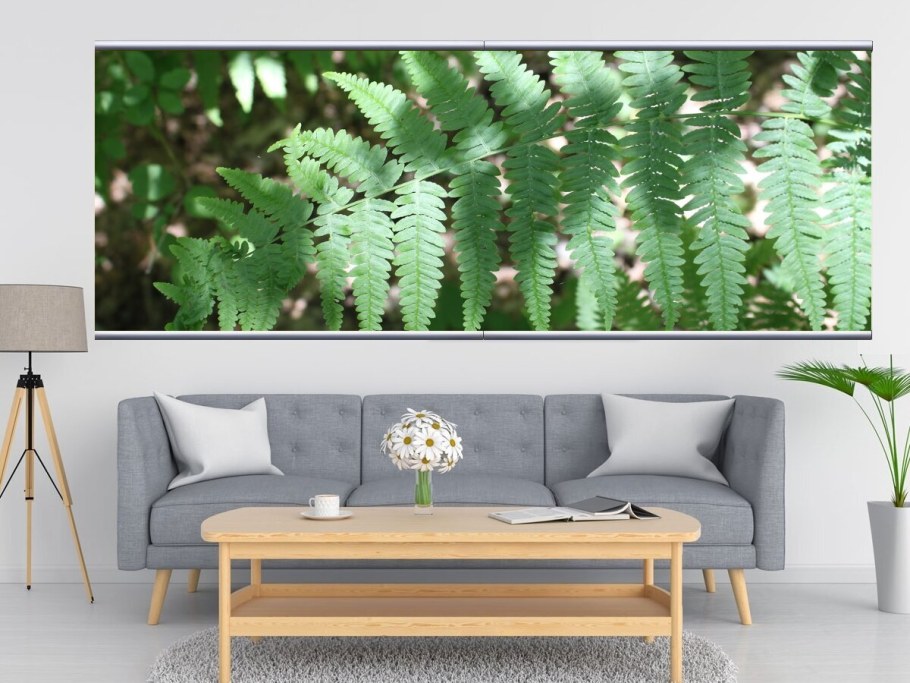 Фитокартина мох растения