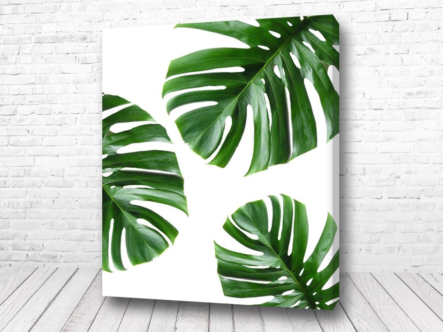 Постеры с зеленью в интерьере