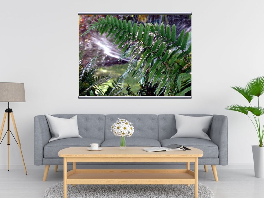 Золотой папоротник монстера