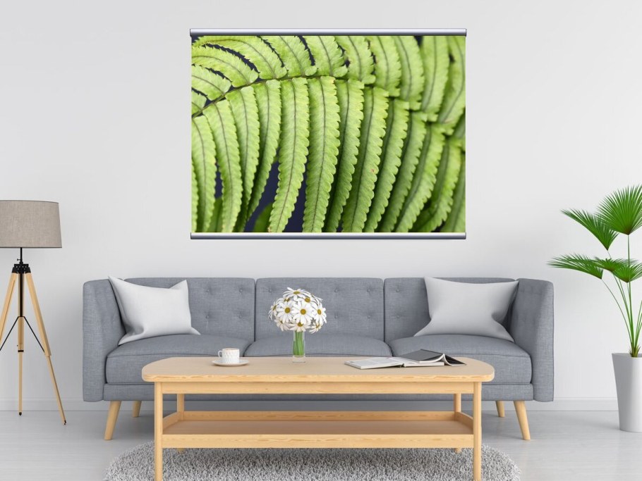 Киннаред папоротник икеа