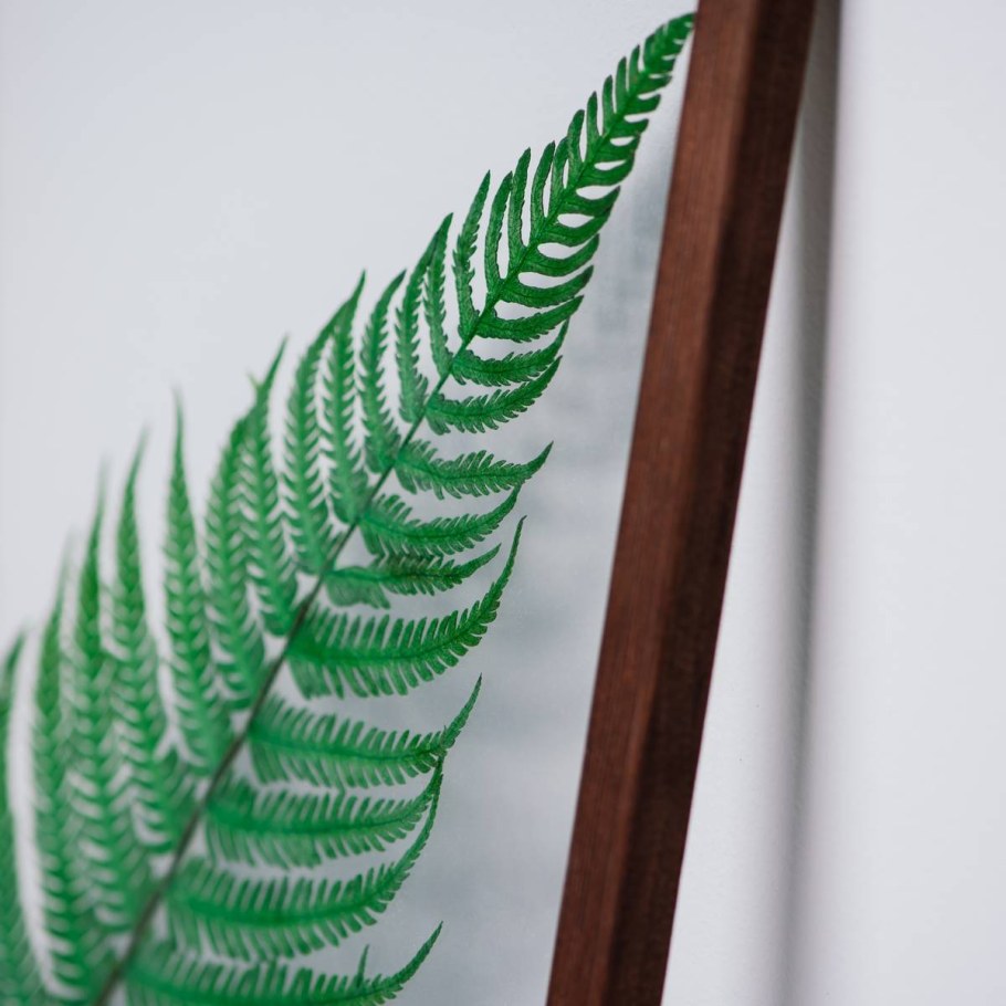 Картина тропики листья