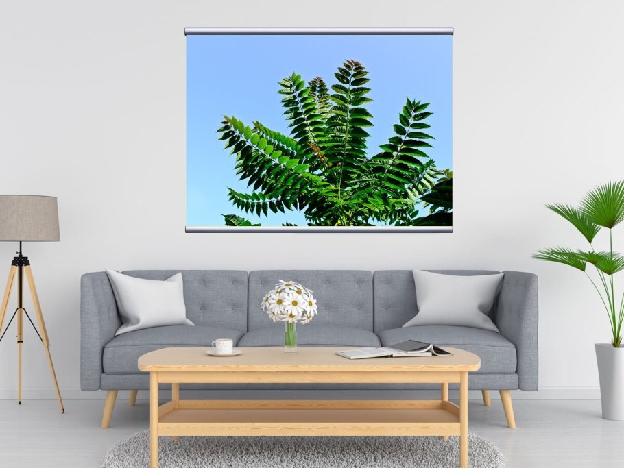 Папоротник в интерьере