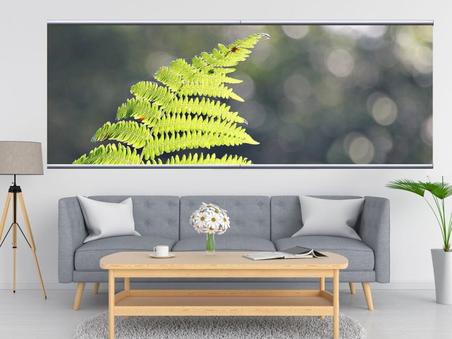 Папоротник картина