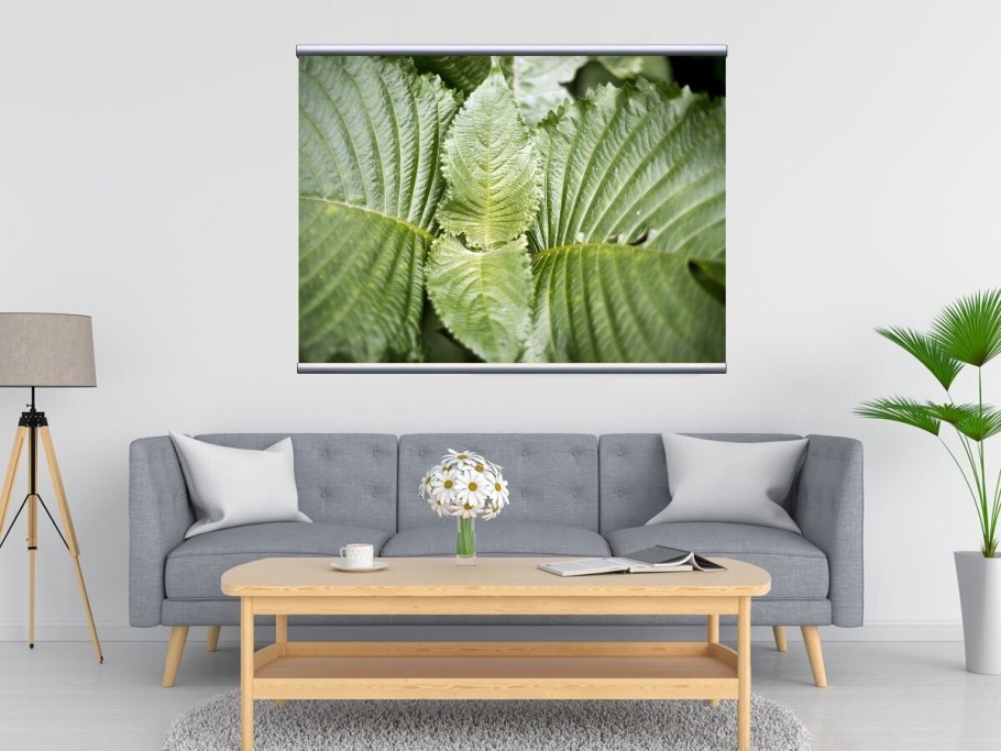 Папоротник живопись