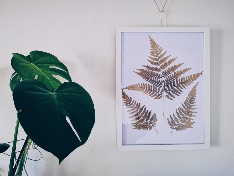 Папоротник картина