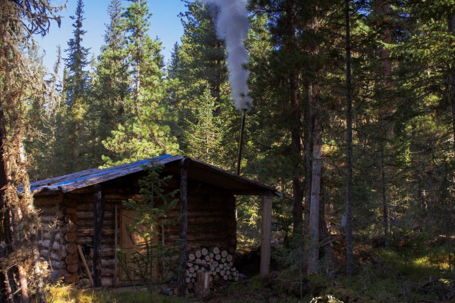 Юрий Васендин картины