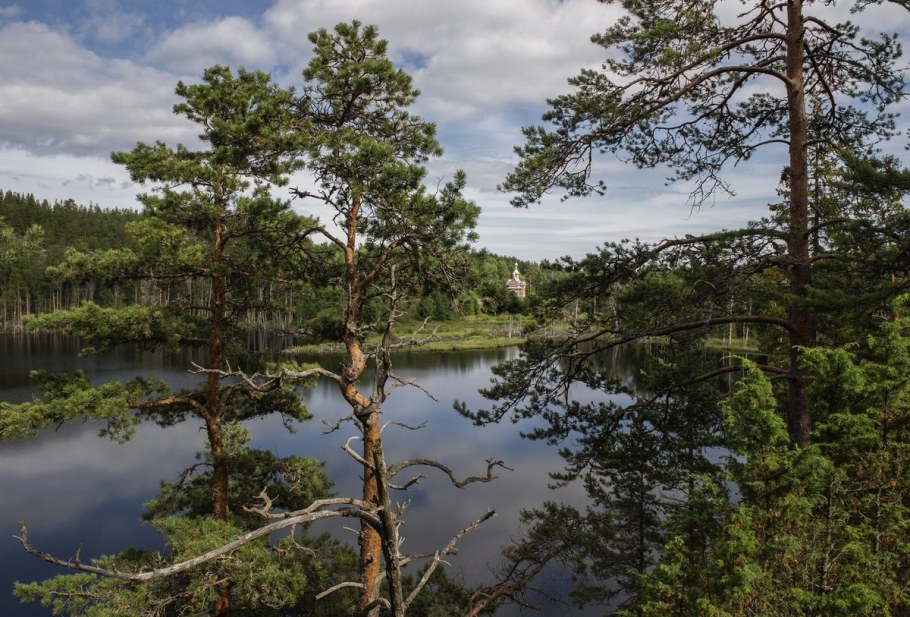 Камни в лесу Валаам