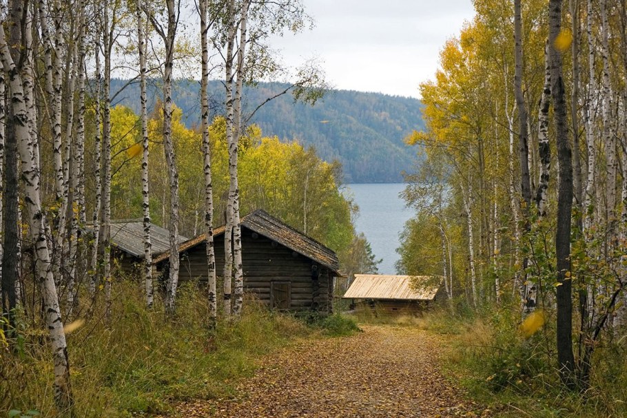 Герман Аляскинский остров еловый