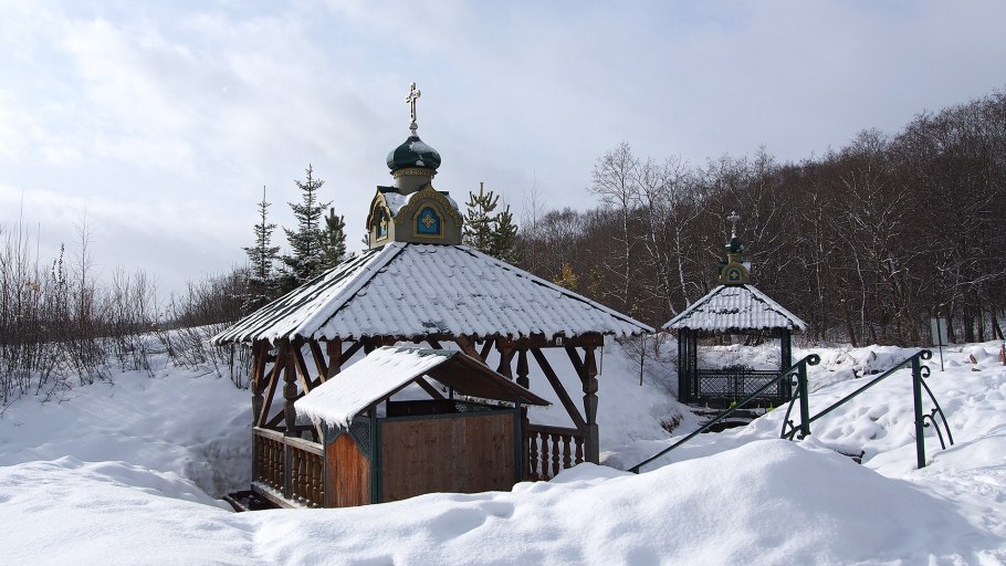 Посёлок Таёжный Тайга