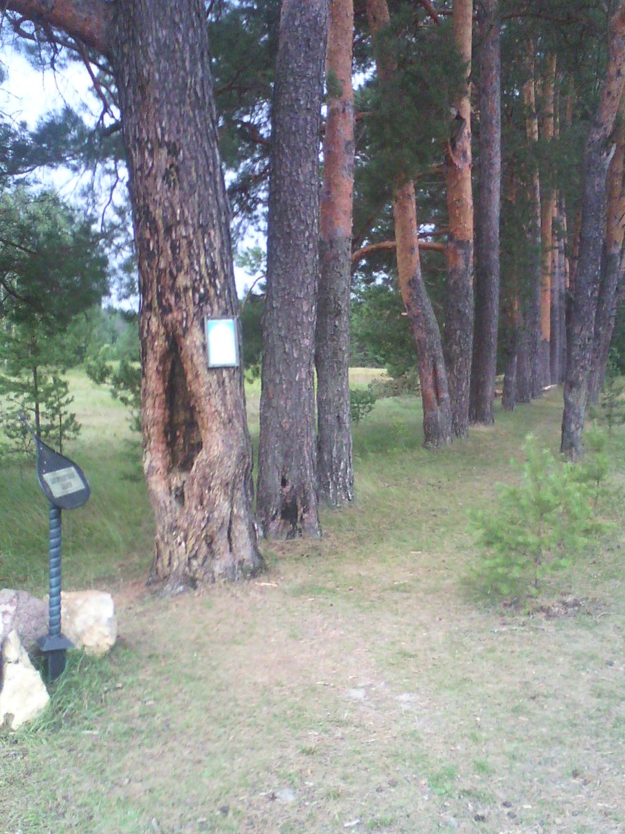 Вадим Зайнуллин картина Лунная ночь