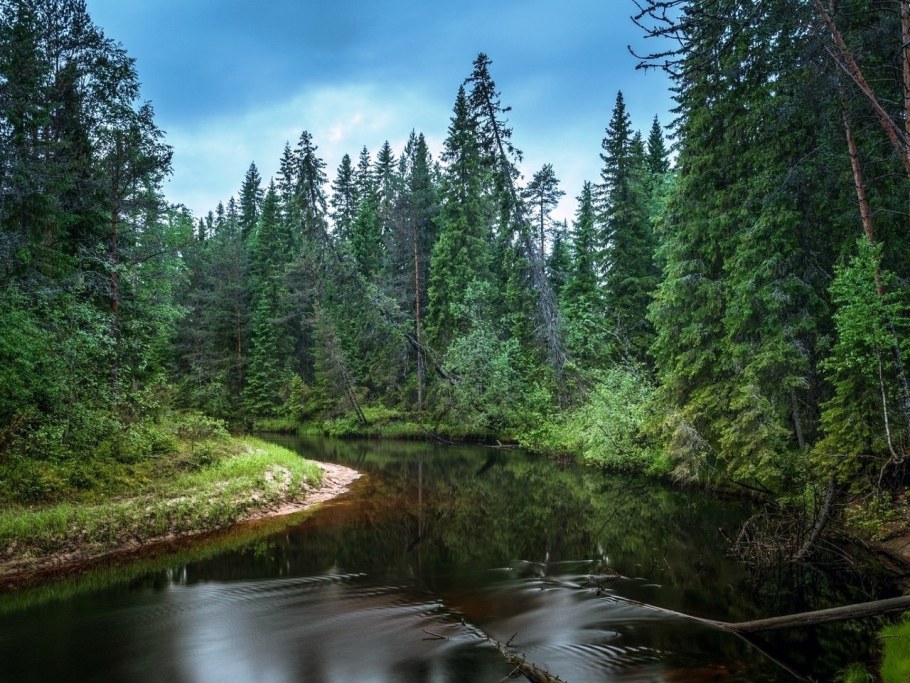 Реставрация храма в Бутырках