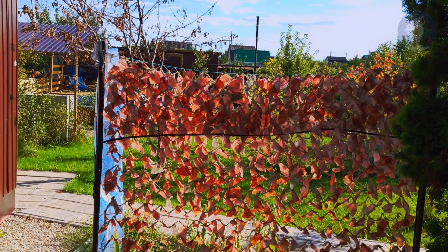 Забор Венская плетенка