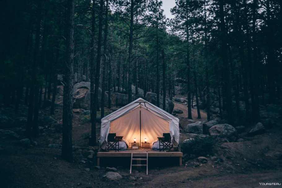 Глэмпинг лес Сочи