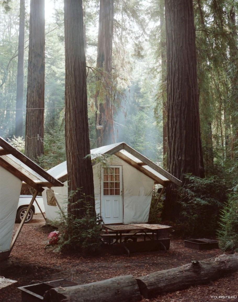 Лес и море палаточный лагерь Калязин