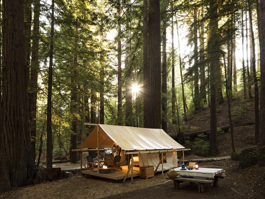 Лес и море глэмпинг