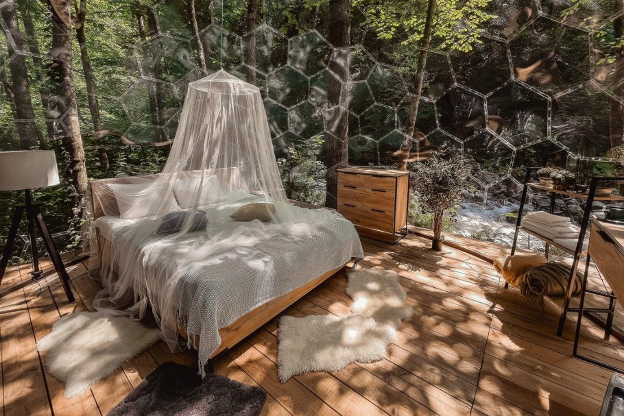 Лес глэмпинг и спа