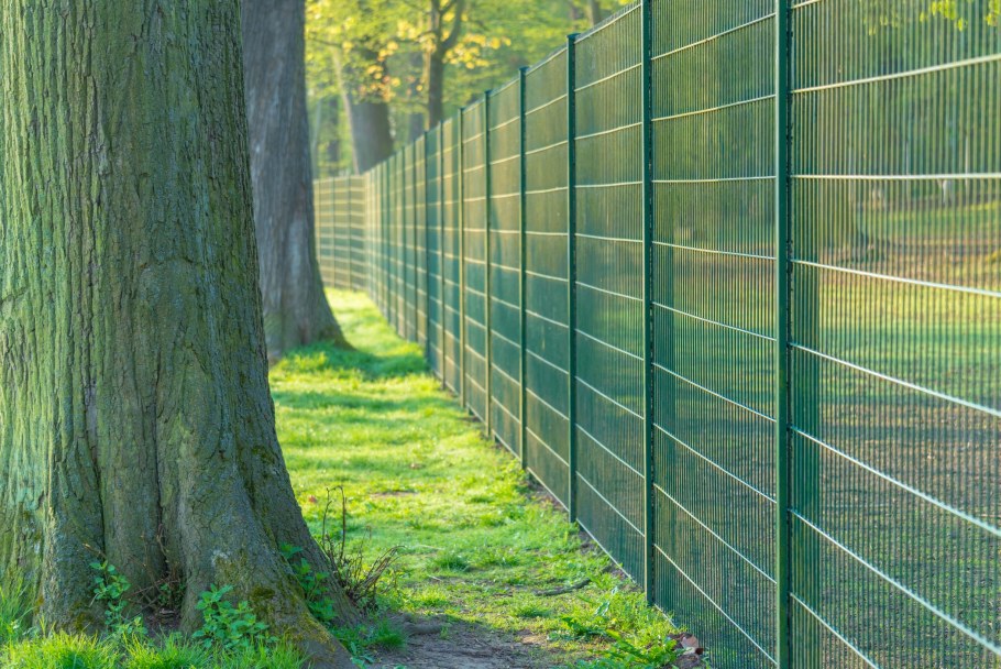 Забор с габионами и деревом