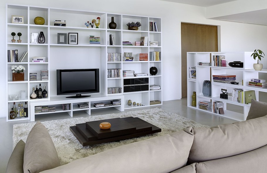 Стеллаж для книг и телевизора