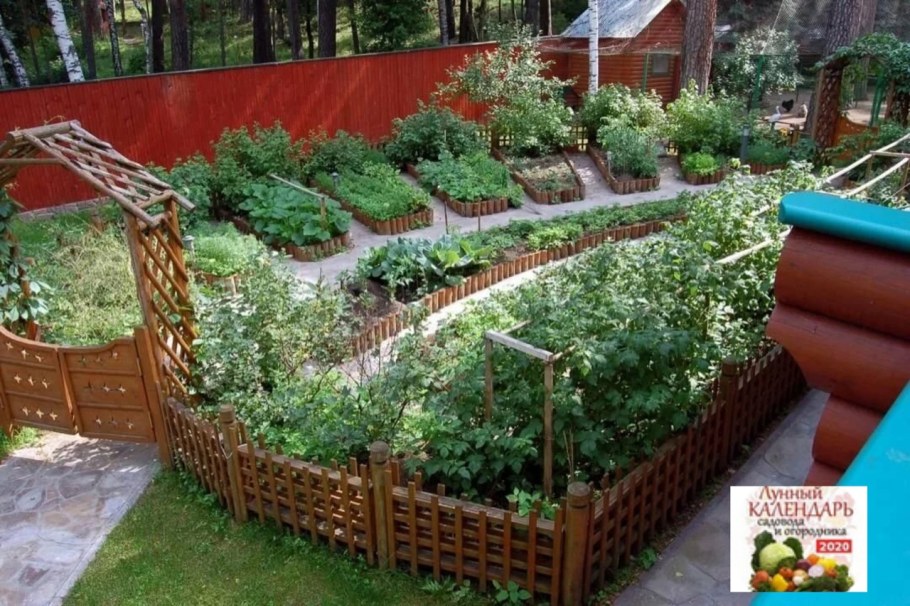 Декор грядок на даче