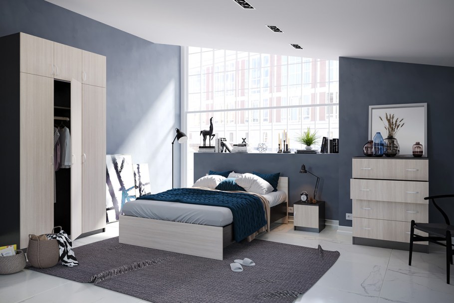 Сурская мебель Бася ШК-552