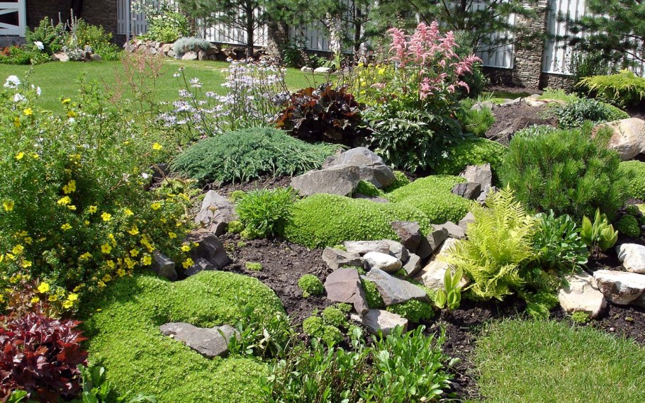 DEREVOPARK ландшафт