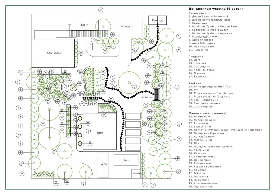 Дендроплан участка 13 соток